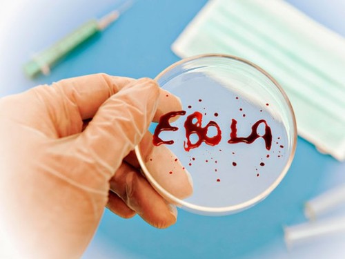 Эбола вируст халдварын 661 шинэ тохиолдол бүртгэгджээ 